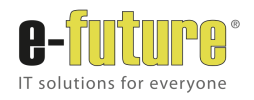 Logo e-future